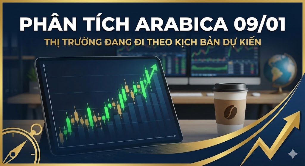 Phân tích Arabica 09/01: Thị trường đang đi theo kịch bản dự kiến
